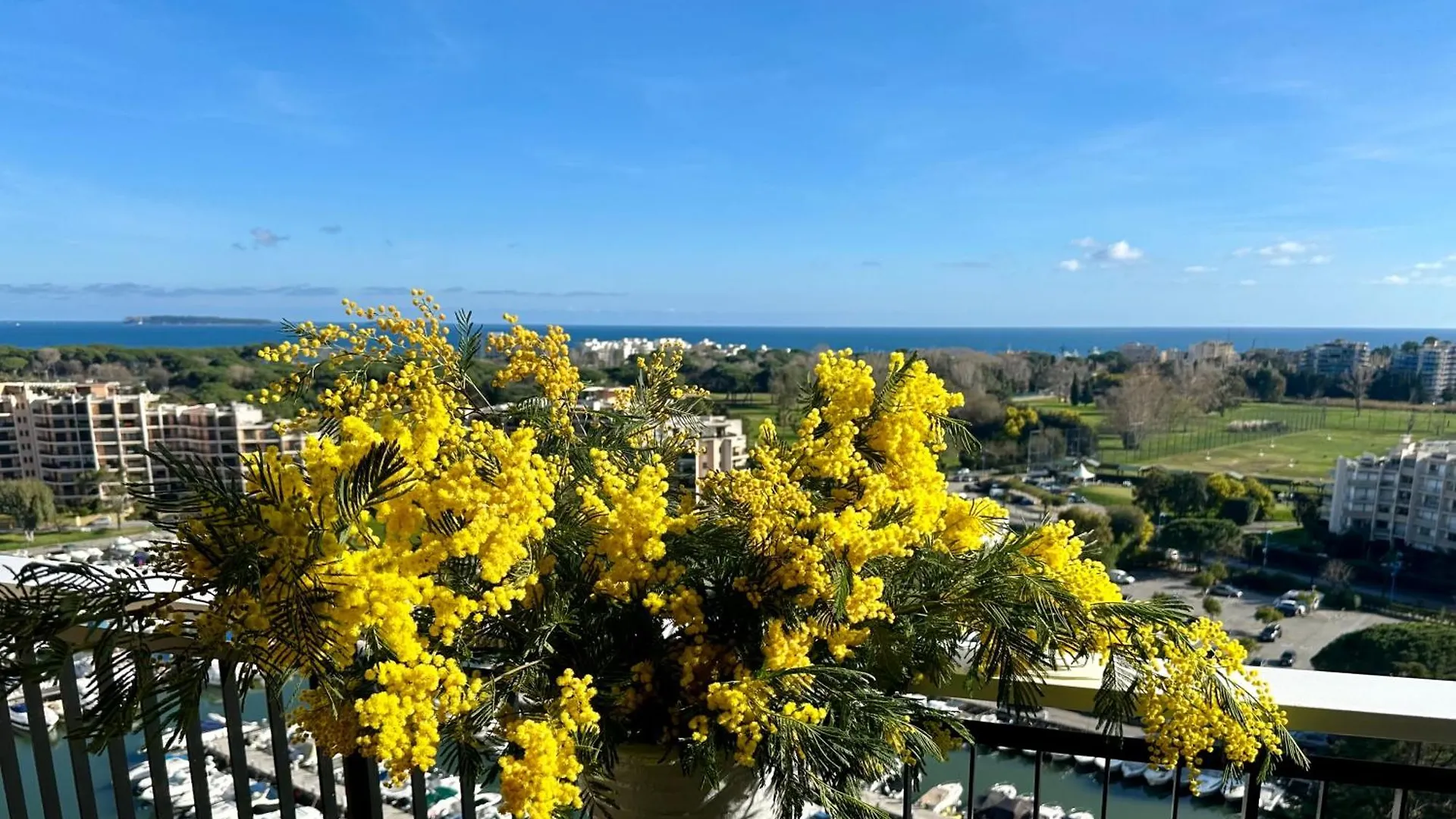 Apart-hotel Cannes Marina Appart Hotel Mandelieu